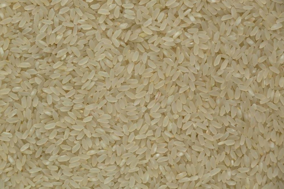 From Grain to Greatness: The Transformative Journey of Jet Rice Polishers in Modern Agriculture