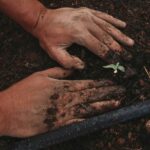 Home 5 From Seed to Success: Rethinking Rice Processing as a Catalyst for Sustainable Agriculture