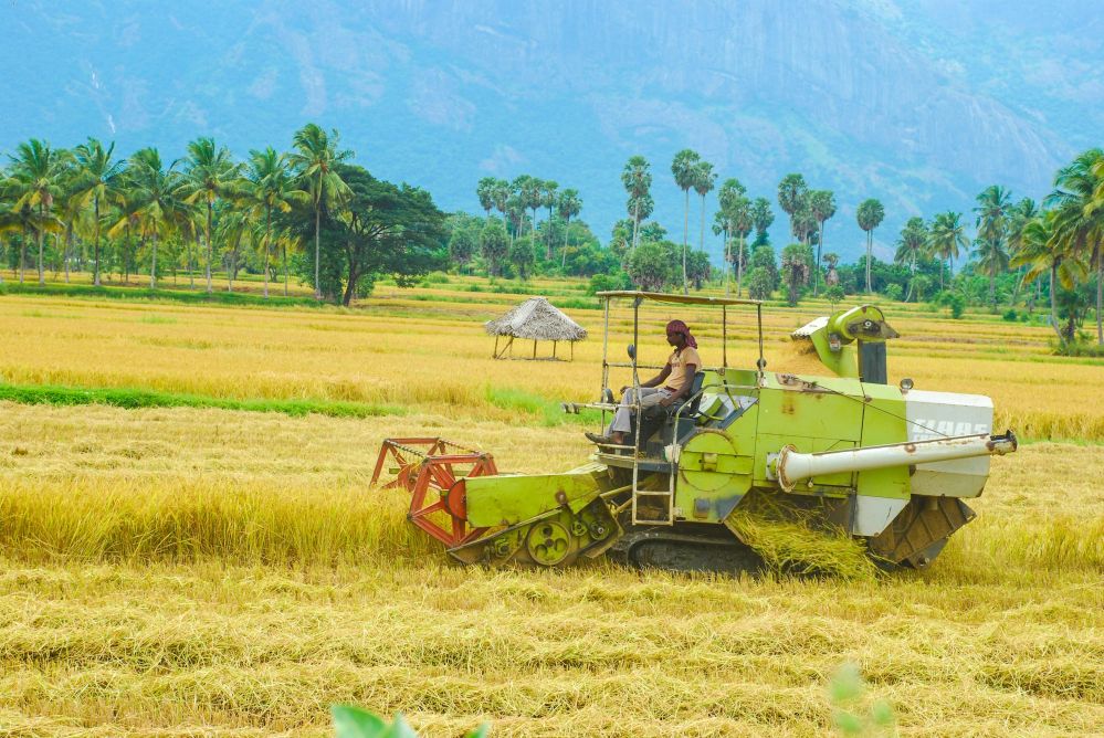 Evaluating Precision and Efficiency in Paddy Processing Machines: A Comprehensive Guide to Specifications, Performance Metrics, and Key Decision Factors