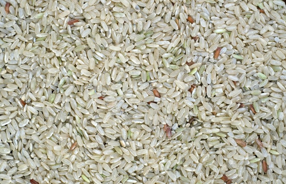 Understanding Small Rice Mills: Their Role in Local Economies, Production Efficiency, and Sustainable Agriculture