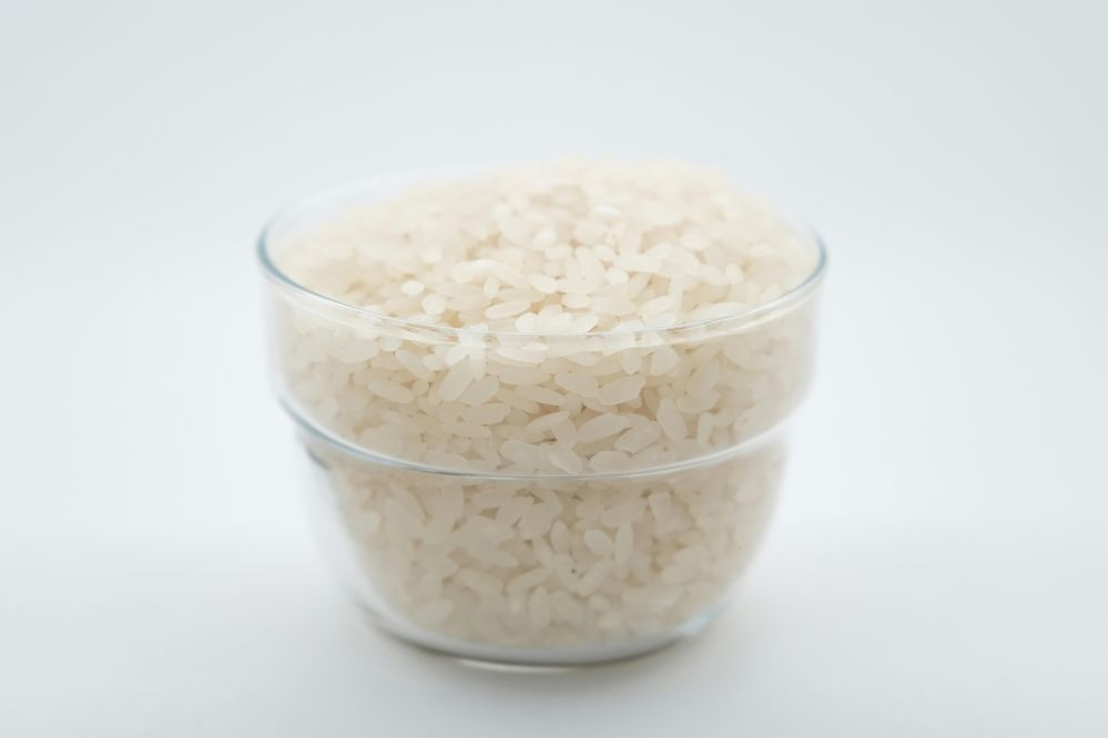 Transforming Grains: How Parboiled Rice Processing Plants Are Redefining Efficiency and Sustainability in the Food Industry