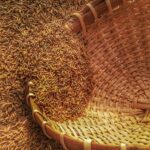 From Grain to Glory: The Journey of Transformation in Jet Rice Polishing
