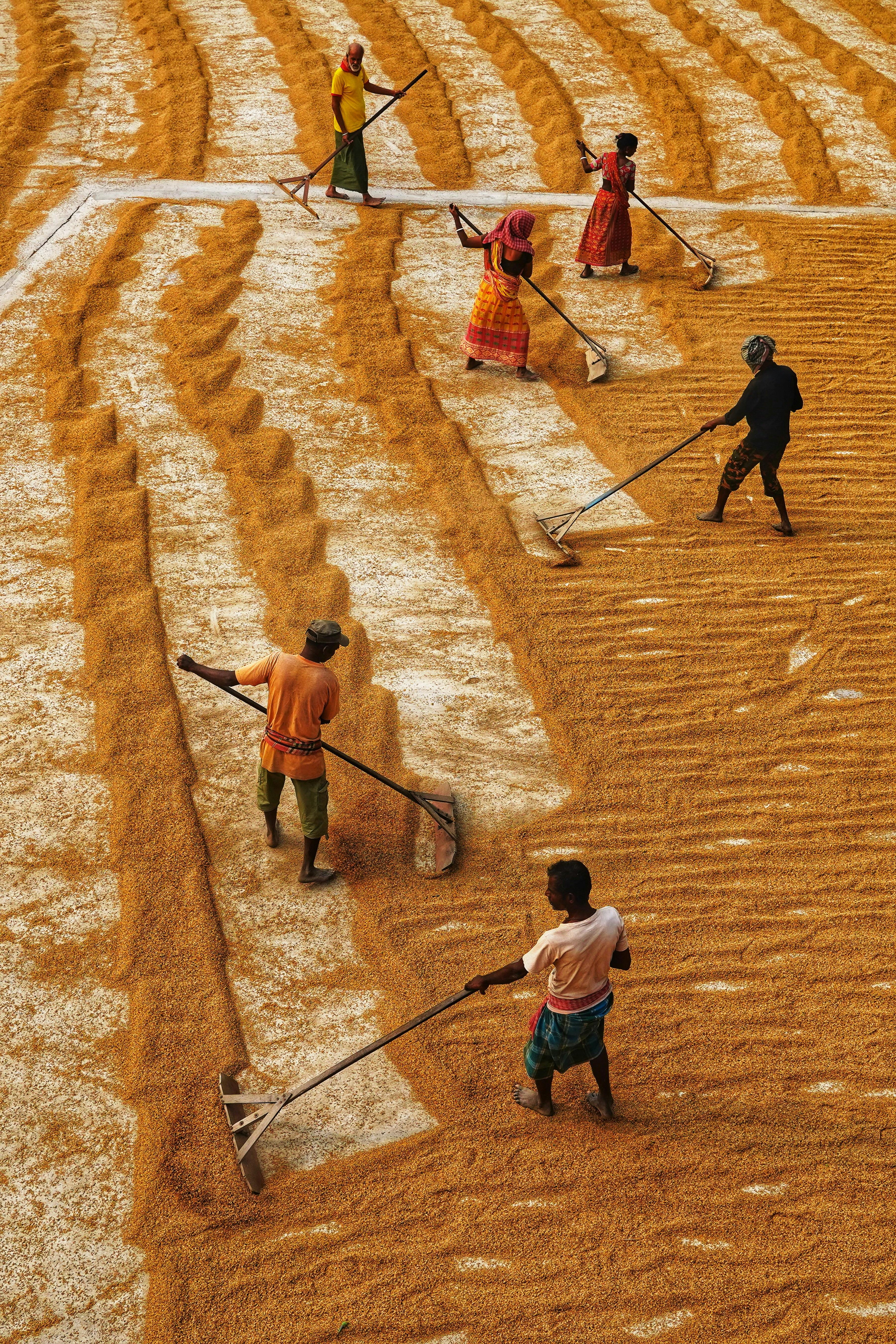 Understanding the Combined Rice Mill Machine: Features, Benefits, and Impact on Modern Rice Processing 2 Unveiling the Multifaceted Benefits for Modern Rice Processing Operations