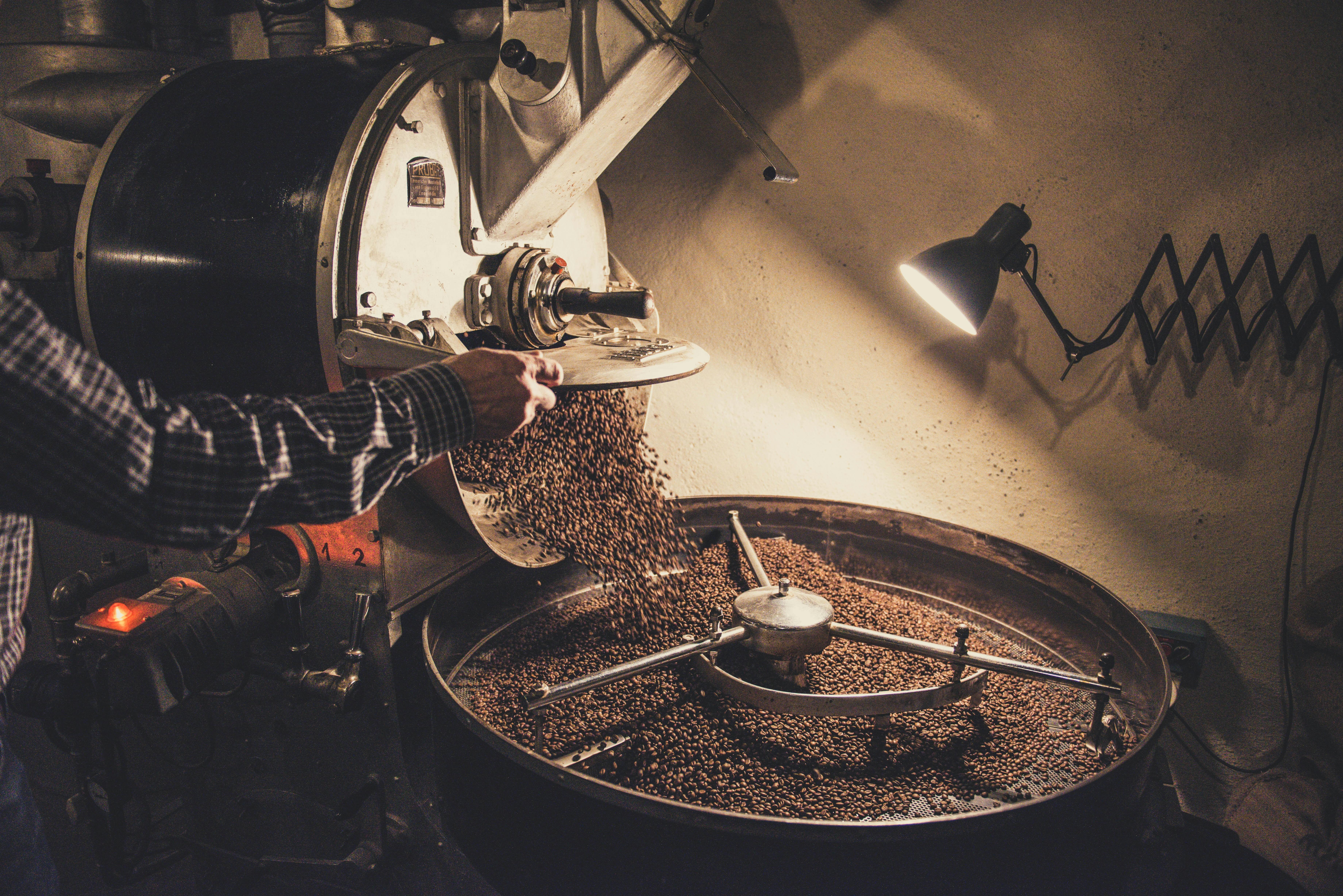 Navigating challenges in Cereal Processing: Key Factors Impacting Performance and Output Quality