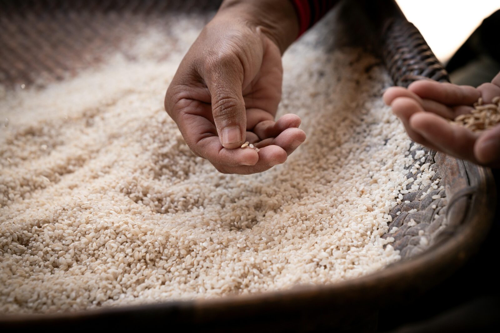 Beyond the Grain: How Innovative Rice Processing Plants are Redefining Food Security in a Globalized Market 1 Navigating the Double-Edged Sword of High-Tech Rice Processing: Balancing innovation with Environmental Impact