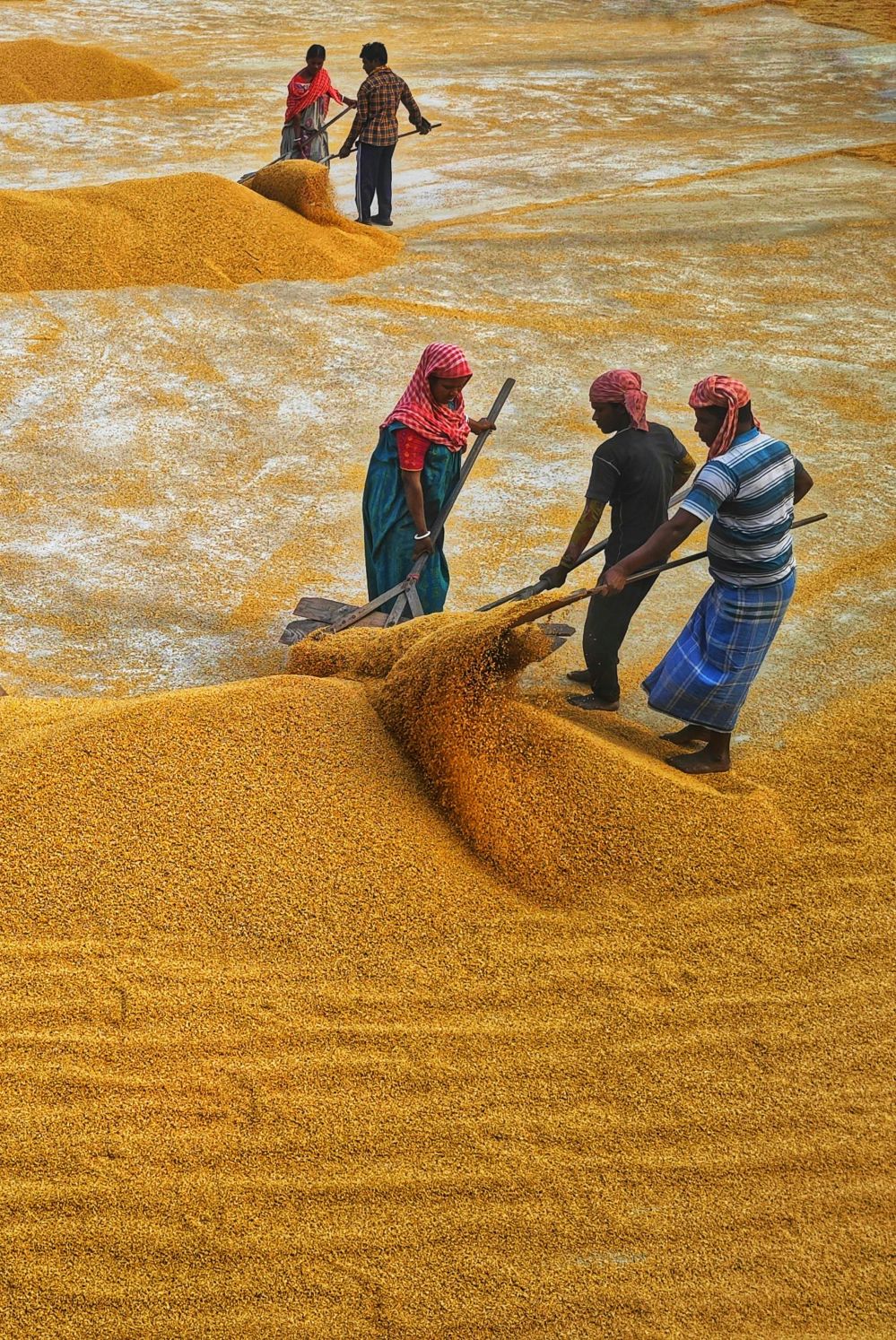 Unlocking Efficiency: A Comprehensive Guide to Mini Rice Mill Plants and Their Benefits for Small Scale Farmers
