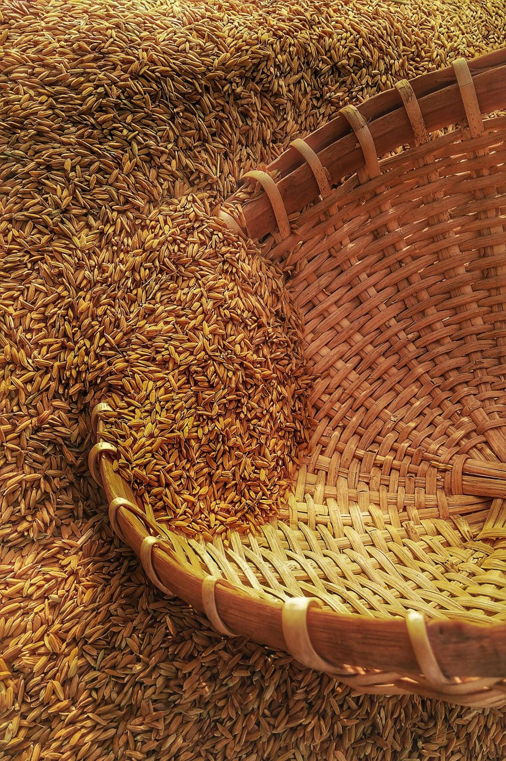 Maximize Your Harvest: A Practical Guide to Choosing and Using Portable Rice Milling Machines Effectively