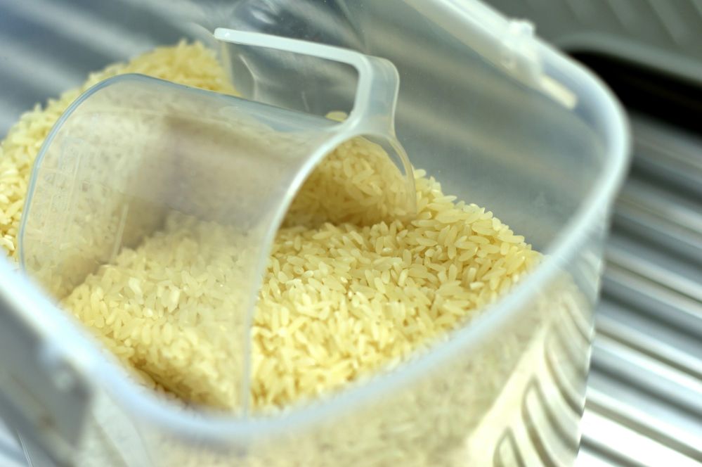 Exploring Mini Rice Mill Plants: Benefits, Setup Guide, and Cost-Effective Solutions for Rice Processing