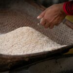 “Beyond Grains: Revolutionizing Rice Processing Equipment for Sustainable Agriculture’s Next Frontier”