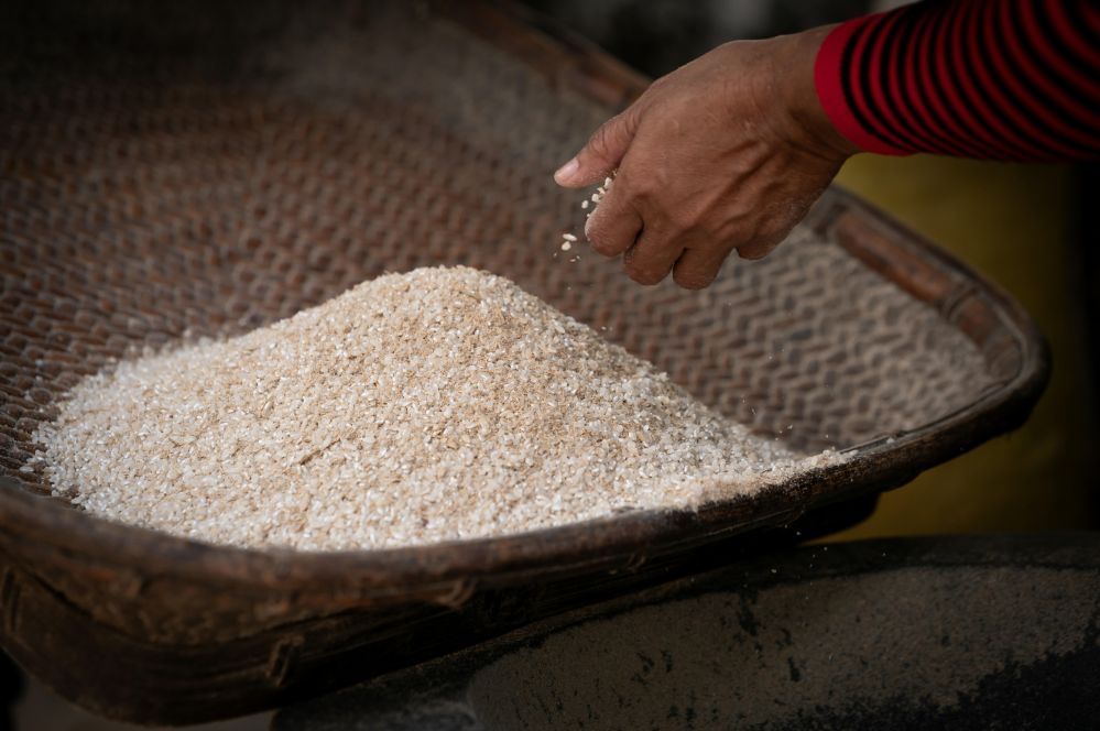 “Beyond Grains: Revolutionizing Rice Processing Equipment for Sustainable Agriculture’s Next Frontier”