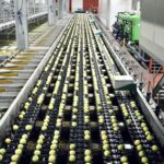 Beyond the Grain: How Modern Rice Processing Plants Are Revolutionizing Sustainable Agriculture and Food Security