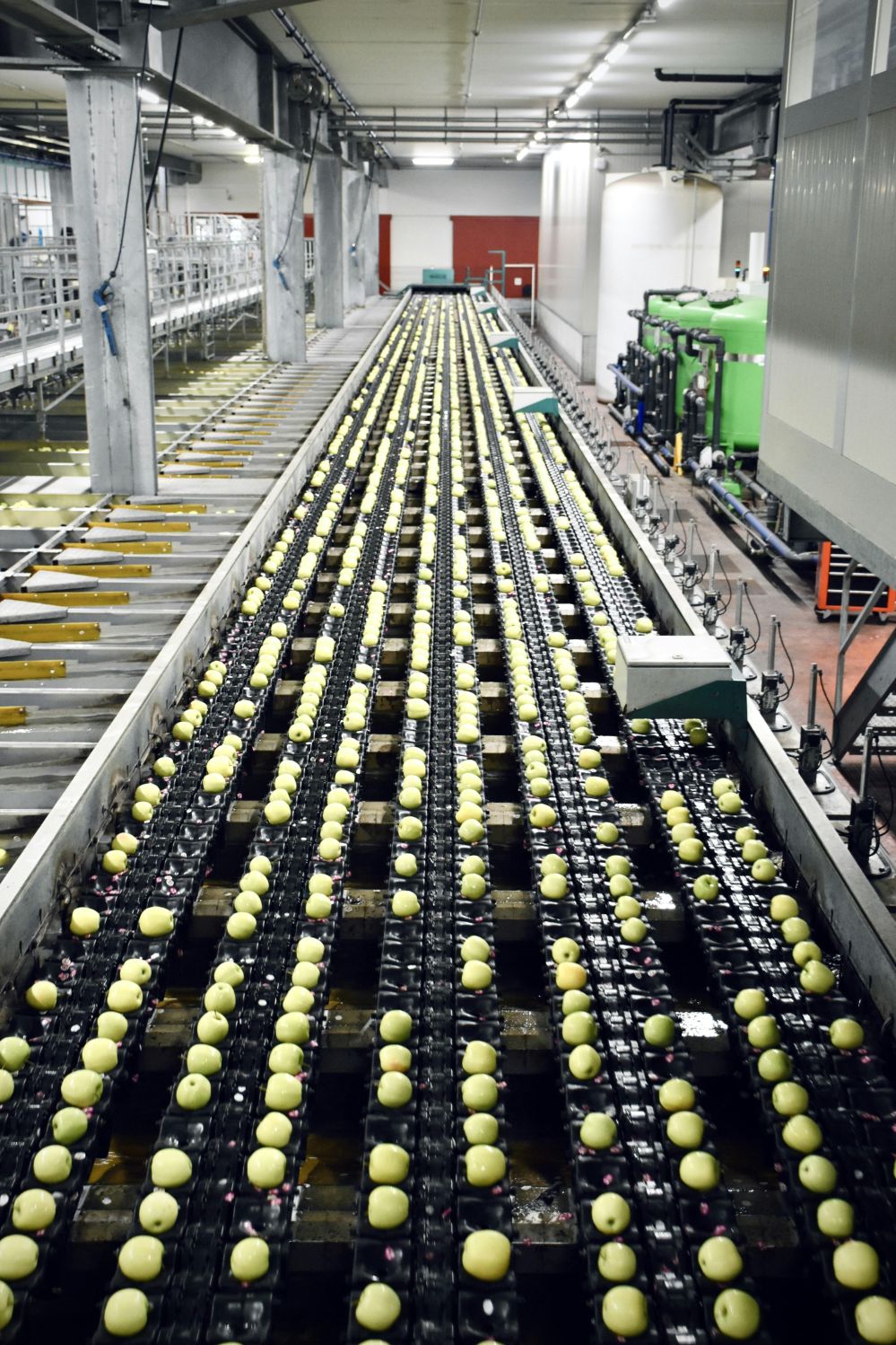 Beyond the Grain: How Modern Rice Processing Plants Are Revolutionizing Sustainable Agriculture and Food Security