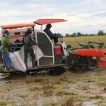 Everything You Need to Know About Combine Mini Rice Mills: Benefits, Features, and Selection Tips