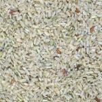 Understanding Mini Rice Mills: Benefits, Features, and How They Revolutionize Small-Scale Rice Production