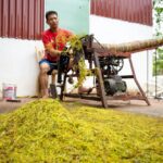Home 9 Maximize Your Output: Essential Guide to Choosing and Optimizing an Automatic Rice Mill Plant for Increased Efficiency and Profitability