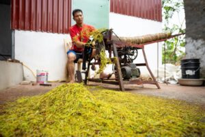 Home 13 Maximize Your Output: Essential Guide to Choosing and Optimizing an Automatic Rice Mill Plant for Increased Efficiency and Profitability