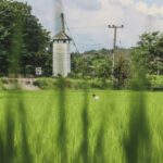 Exploring Mini Rice Mills: Benefits, Features, and How They Revolutionize Small-Scale Rice Processing