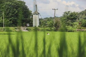 Home 17 Exploring Mini Rice Mills: Benefits, Features, and How They Revolutionize Small-Scale Rice Processing