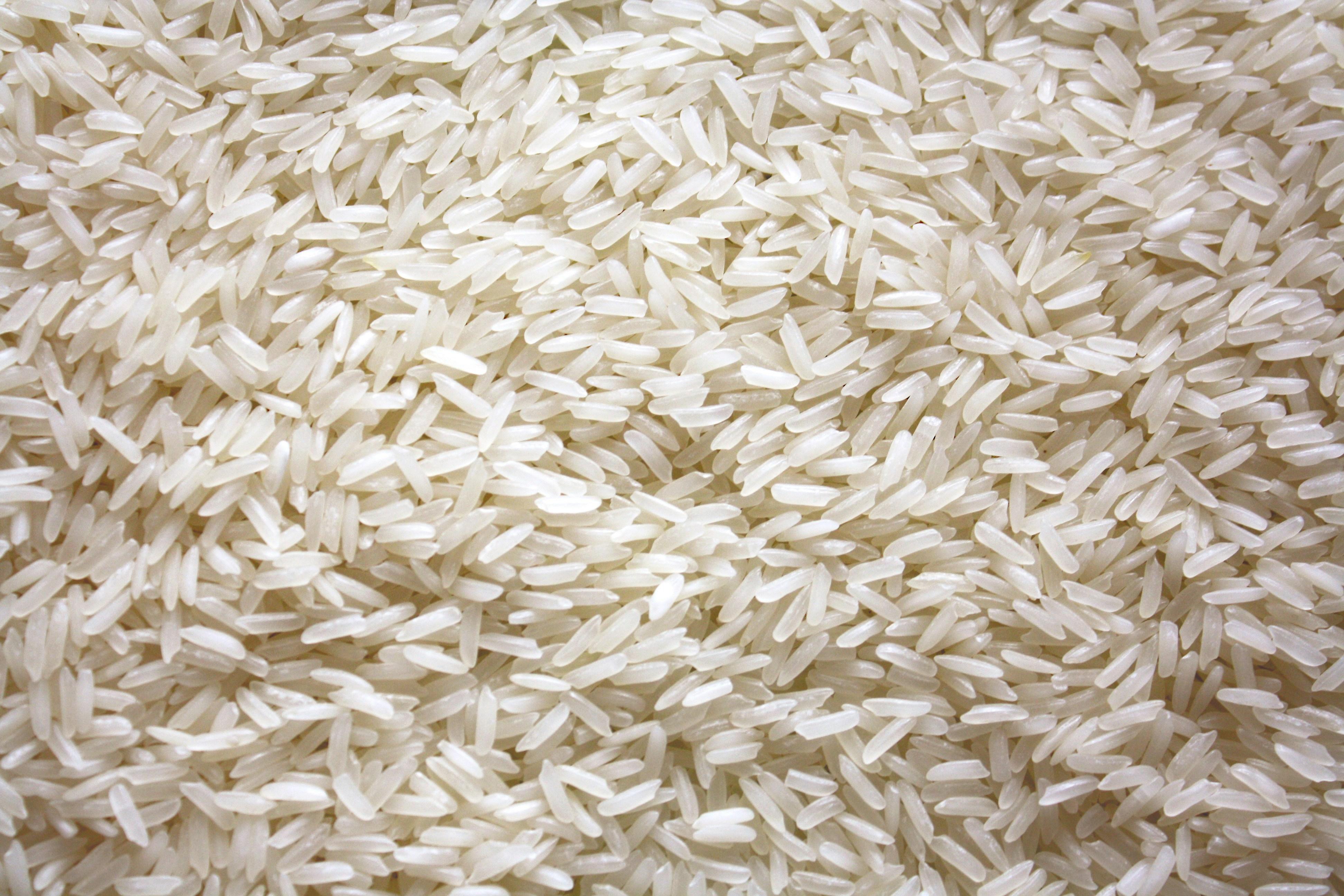 Emerging Trends in Rice Milling‌ Technologies for Enhanced Efficiency
