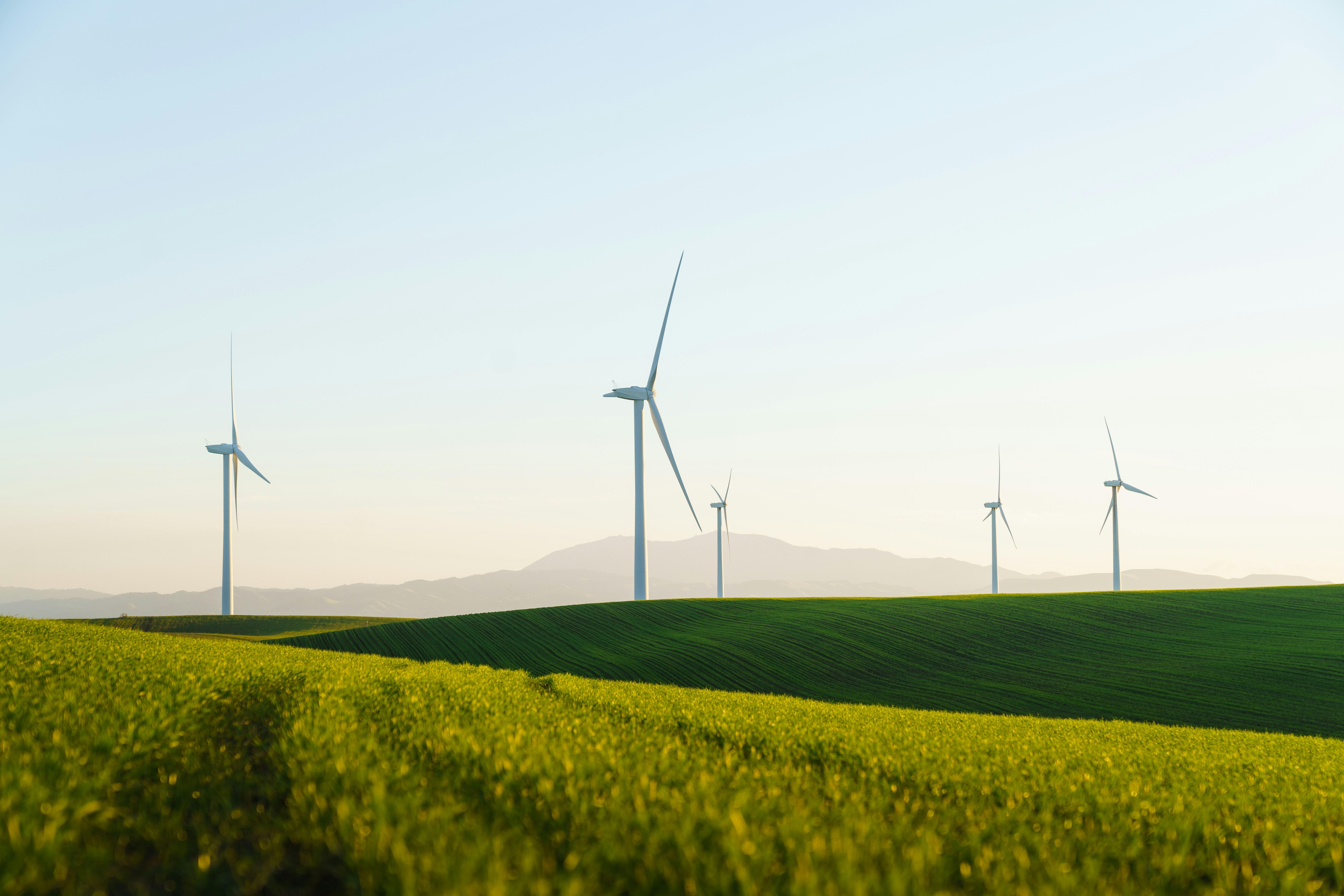 Beyond the Grain: How Innovative Rice Processing Equipment is Redefining Industry Standards and Sustainability 2 sustainability Under Scrutiny: Evaluating the True Impact of Modern Rice Processing Innovations