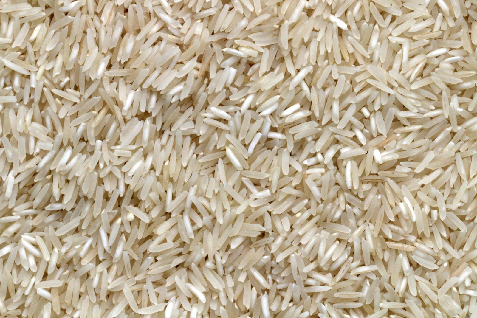 Maximizing Efficiency: Key Strategies for Optimizing Your Rice Milling Unit's Performance 2 Navigating the Rice Milling Landscape: Critical Factors to Enhance Operational Effectiveness