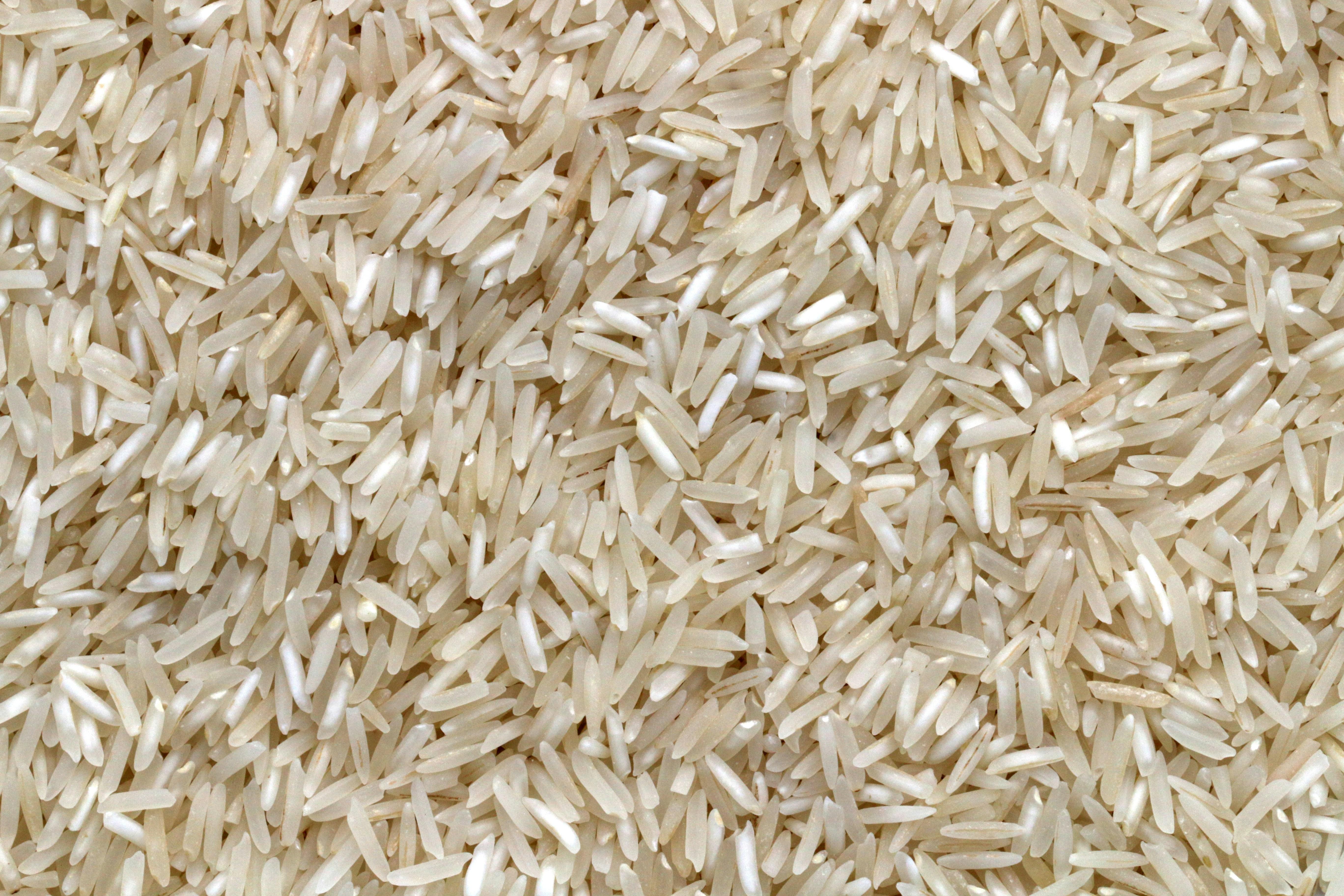 Maximizing Efficiency: Key Strategies for Optimizing Your Rice Milling Unit's Performance 2 Navigating the Rice Milling Landscape: Critical Factors to Enhance Operational Effectiveness