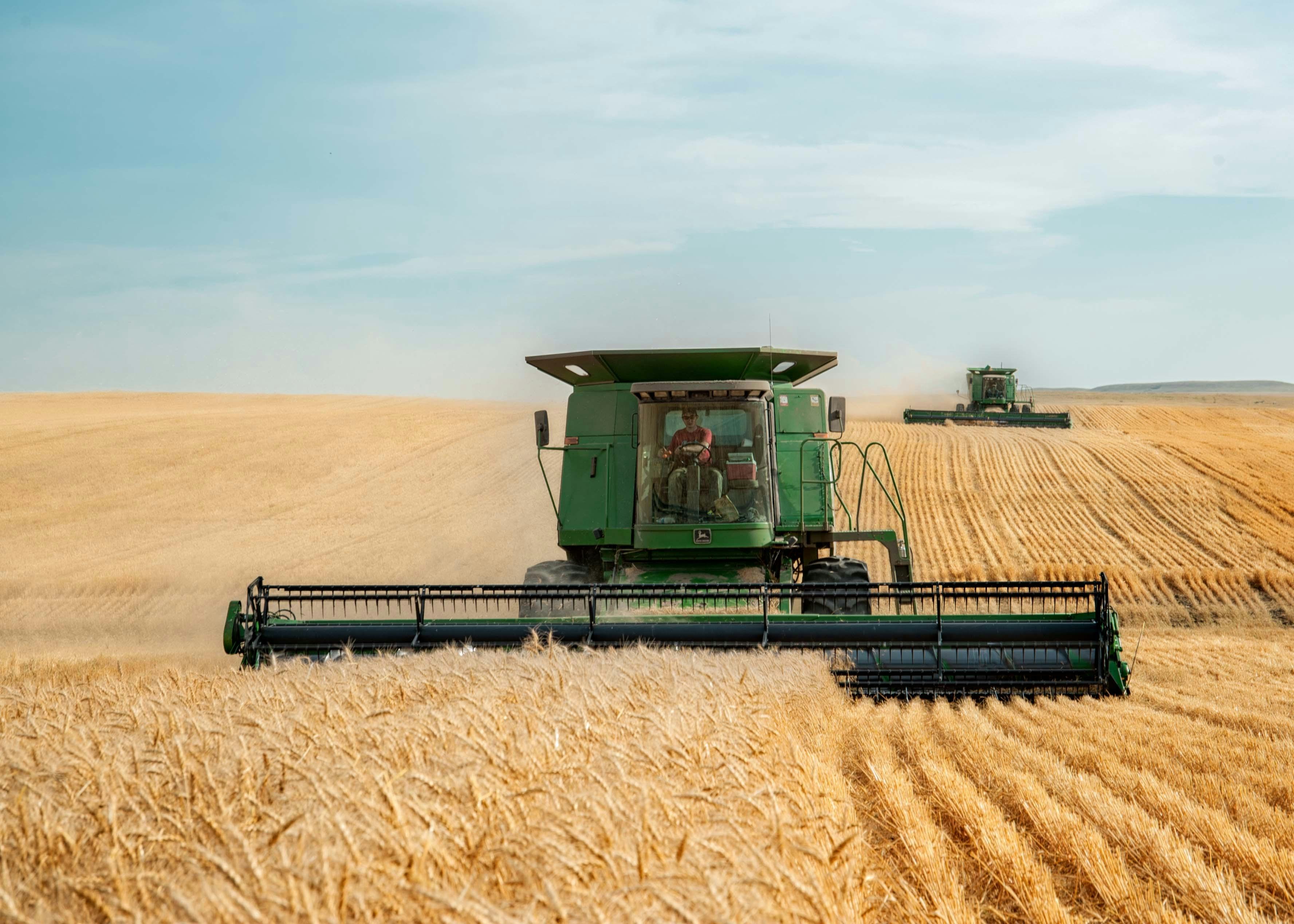 From Grain to Glory: The Journey of a Jet Rice Polisher and the Lives It Transforms 1 Harvesting Dreams: How a Jet Rice Polisher Breeds Hope in Rural Communities