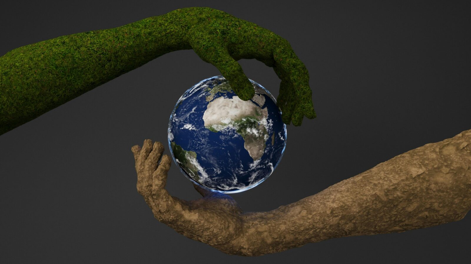 "Beyond Grains: Revolutionizing Rice Processing Equipment for Sustainable Agriculture’s Next Frontier" 2 Sustainable Solutions or Greenwashed Dreams? Dissecting the Hype Around Rice Processing Advancements