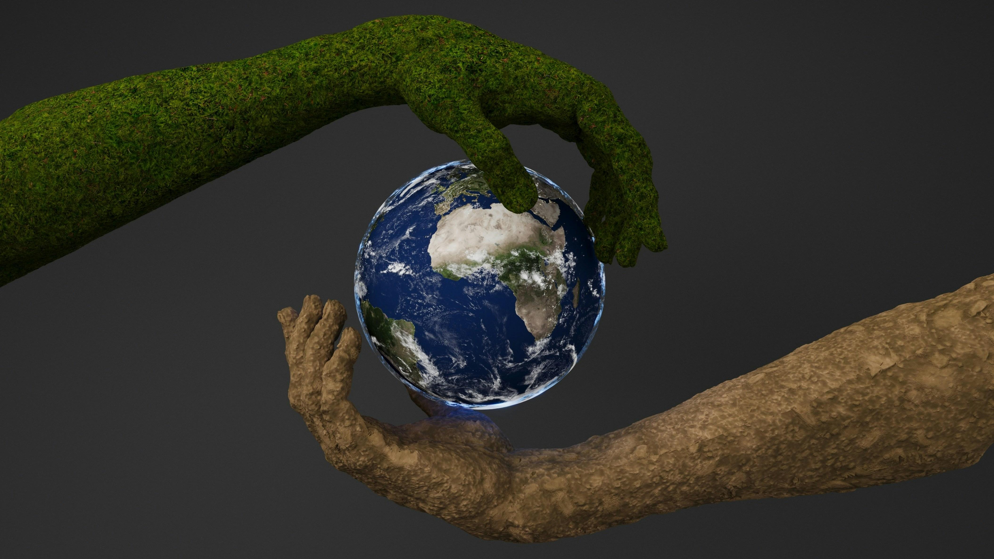 "Beyond Grains: Revolutionizing Rice Processing Equipment for Sustainable Agriculture’s Next Frontier" 2 Sustainable Solutions or Greenwashed Dreams? Dissecting the Hype Around Rice Processing Advancements