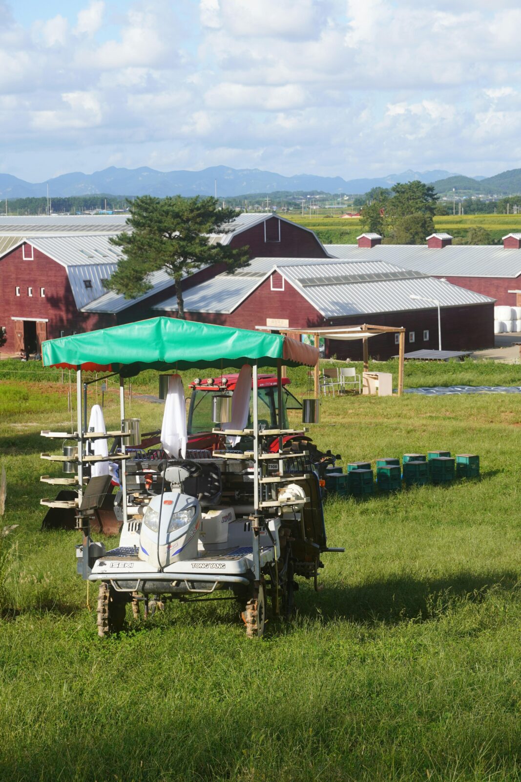 Beyond the Grains: How Revolutionary Rice Processing Techniques are Redefining Food Sustainability and Global Markets 2 The Double-Edged Sword of Rice Innovation: Unpacking Trade-offs Between Efficiency and Environmental Impact