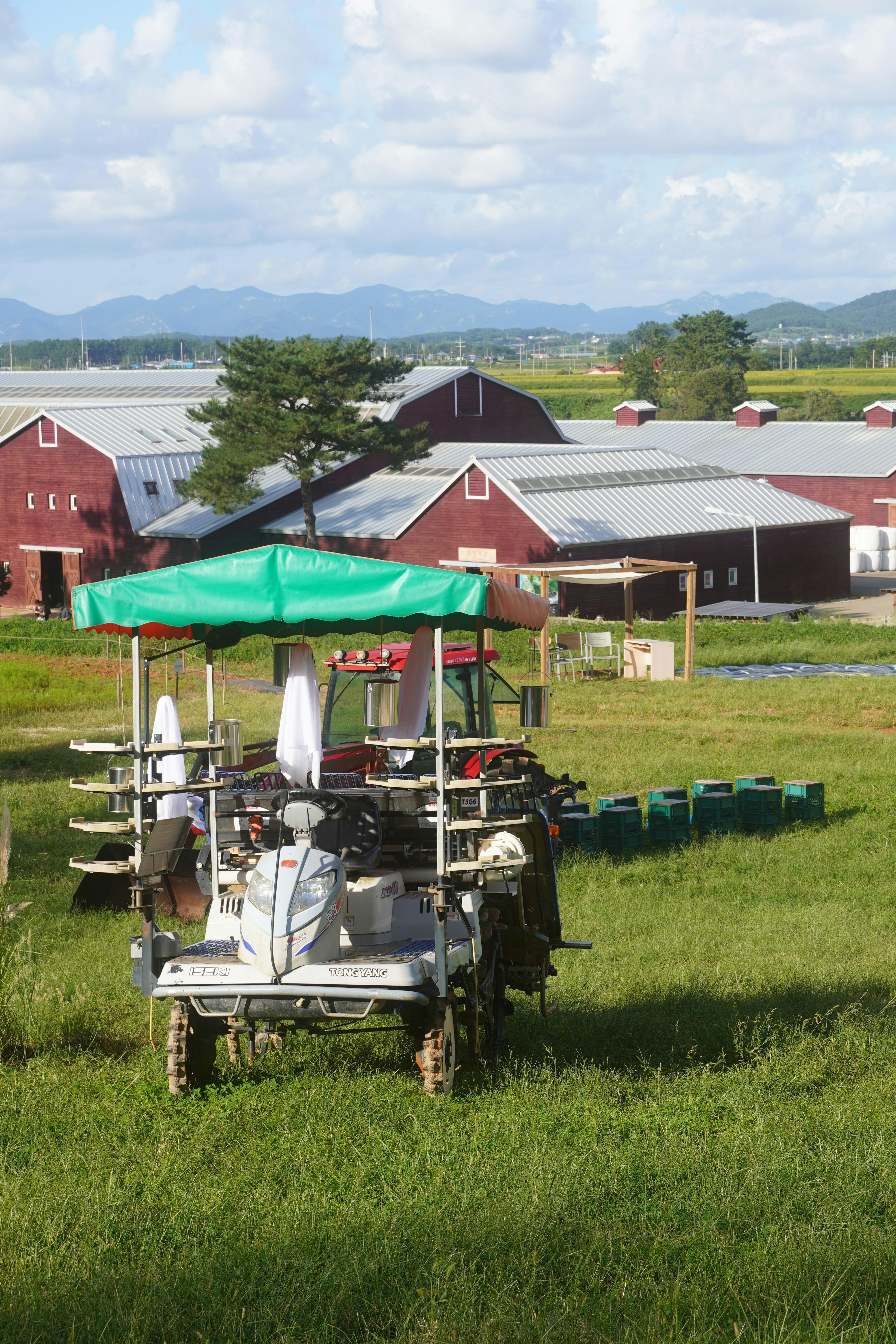 Beyond the Grains: How Revolutionary Rice Processing Techniques are Redefining Food Sustainability and Global Markets 2 The Double-Edged Sword of Rice Innovation: Unpacking Trade-offs Between Efficiency and Environmental Impact