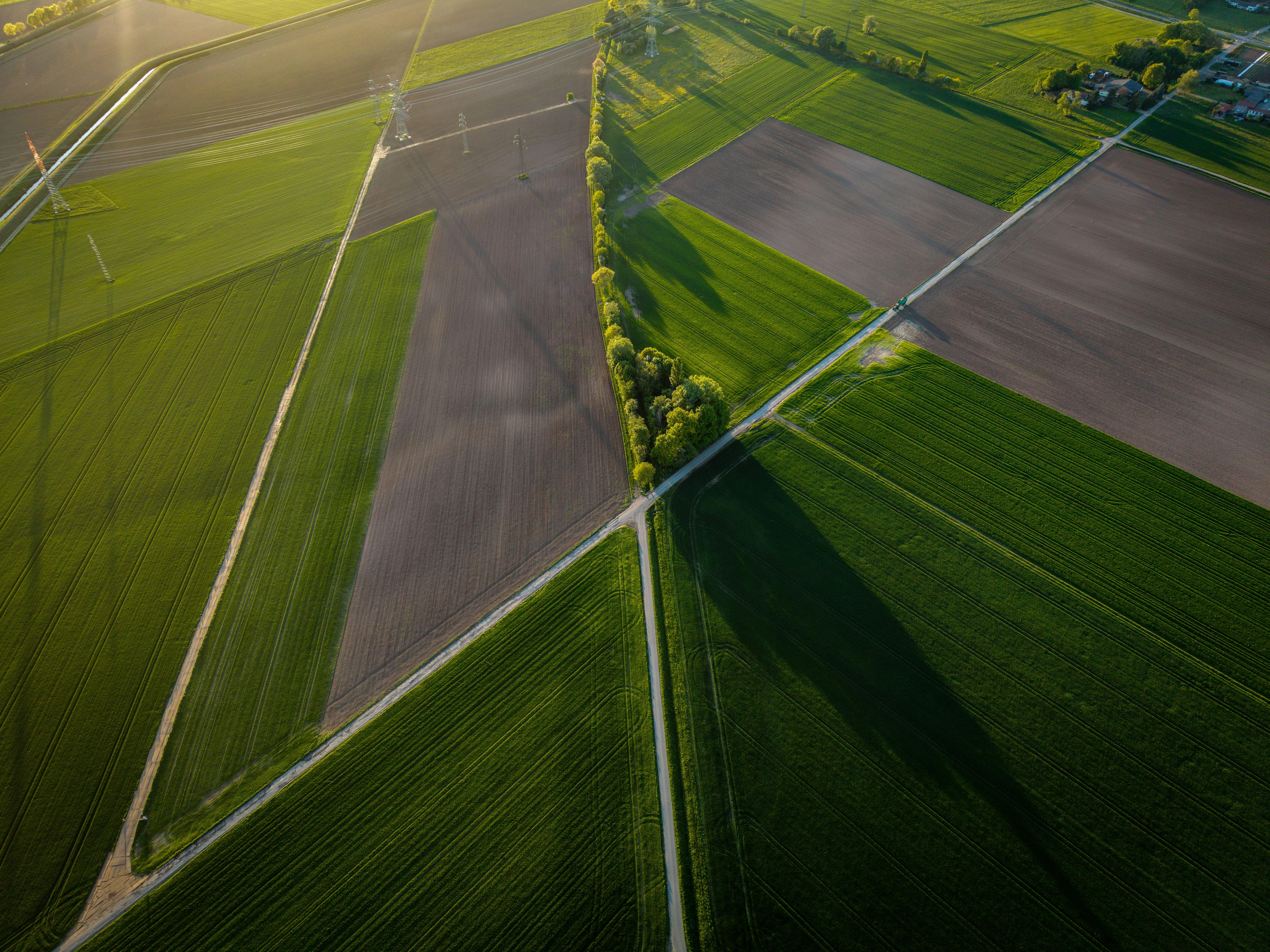 Enhancing Yield thru Advanced Engineering: A Comparative Assessment of modern Corn Processing Methods