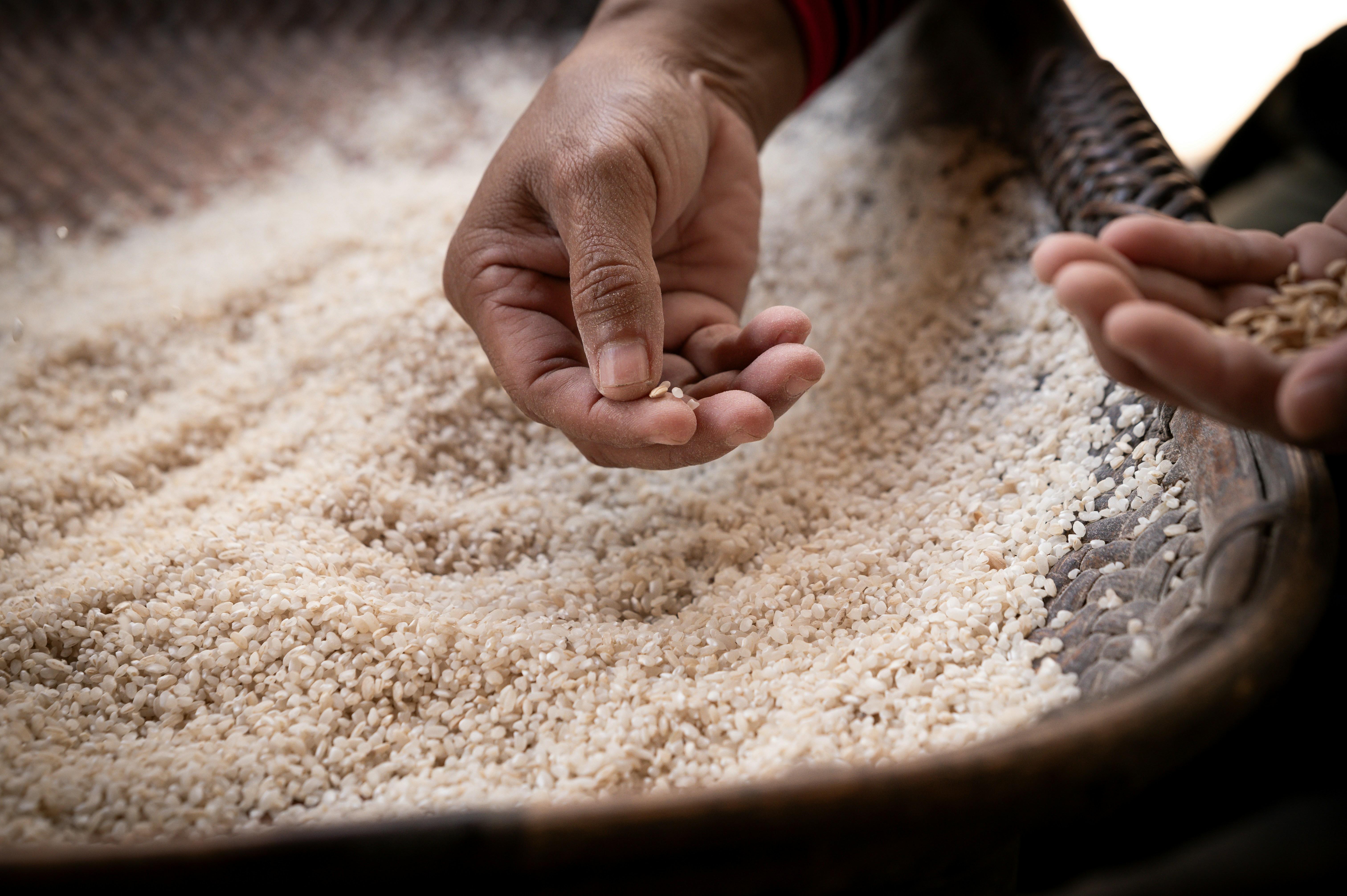 Beyond the Grains: How Revolutionary Rice Processing Techniques are Redefining Food Sustainability and Global Markets 1 Revolutionizing Rice: The Promise and Perils of modern Processing Techniques in the Quest for Sustainability