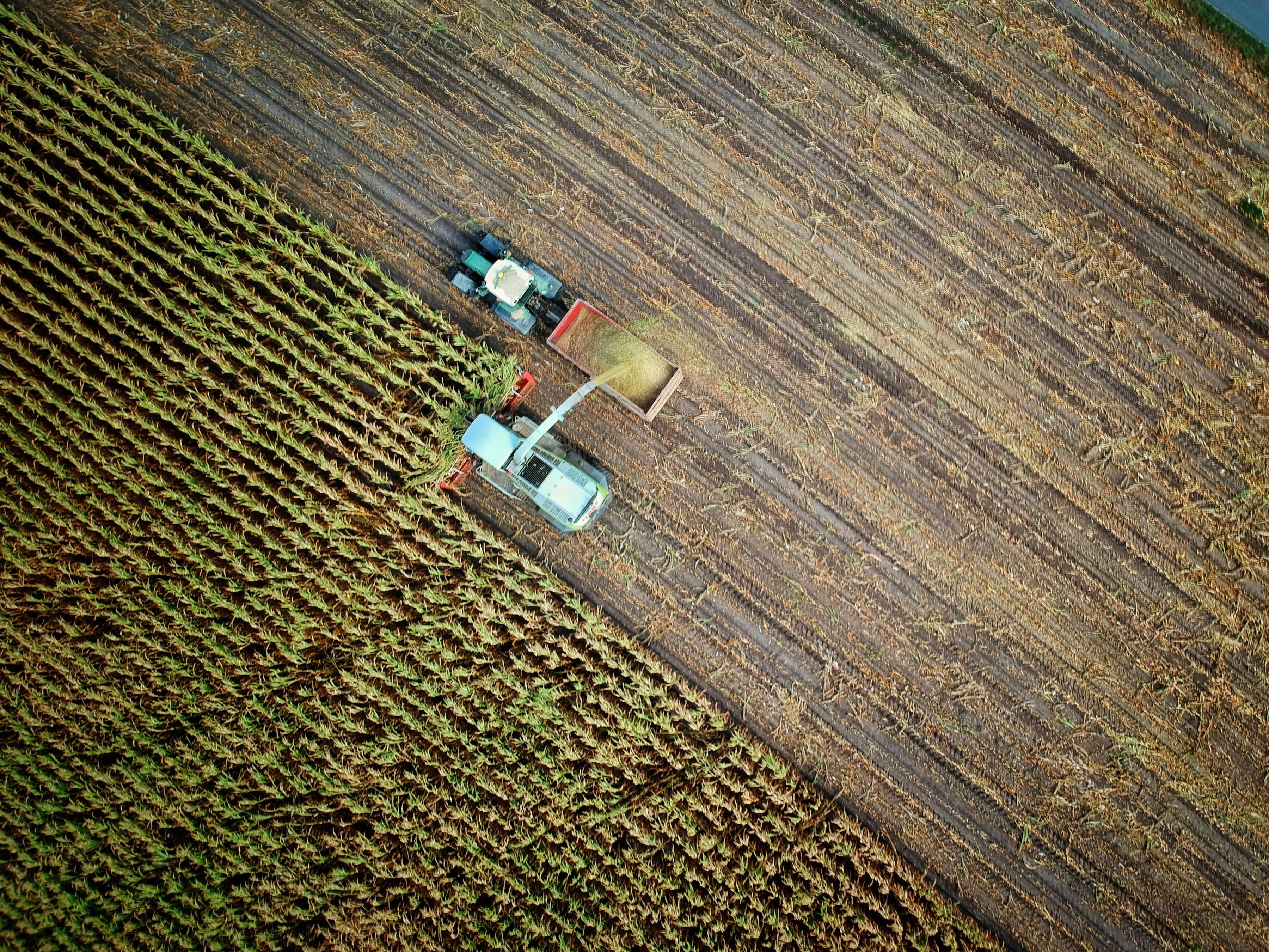 Beyond Grains: How Innovative Rice Processing Equipment is Redefining Quality and Sustainability in Modern Agriculture 1 Redefining agricultural Legacy: The Double-Edged Sword of Cutting-Edge Rice processing Technologies