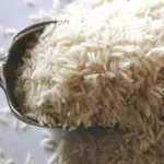 Parboiled Rice Processing: The Underestimated Powerhouse Transforming Global Food Security