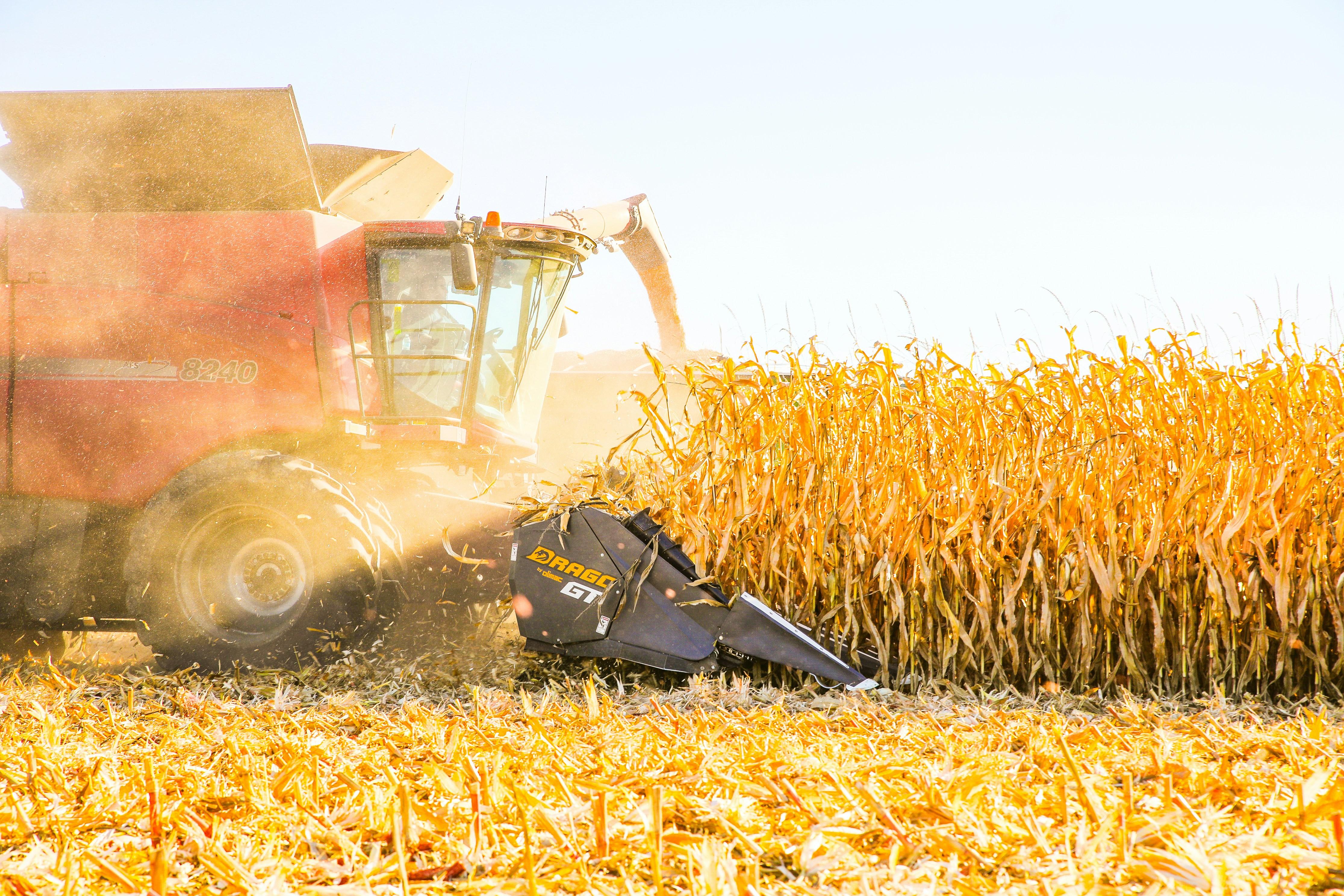 Maximize Efficiency: A Comprehensive Guide to Choosing the Right Combined Rice Milling Machine for Your Farm 1 Maximize Efficiency: How to Choose the Right Combined Rice Milling Machine for Your Business Needs