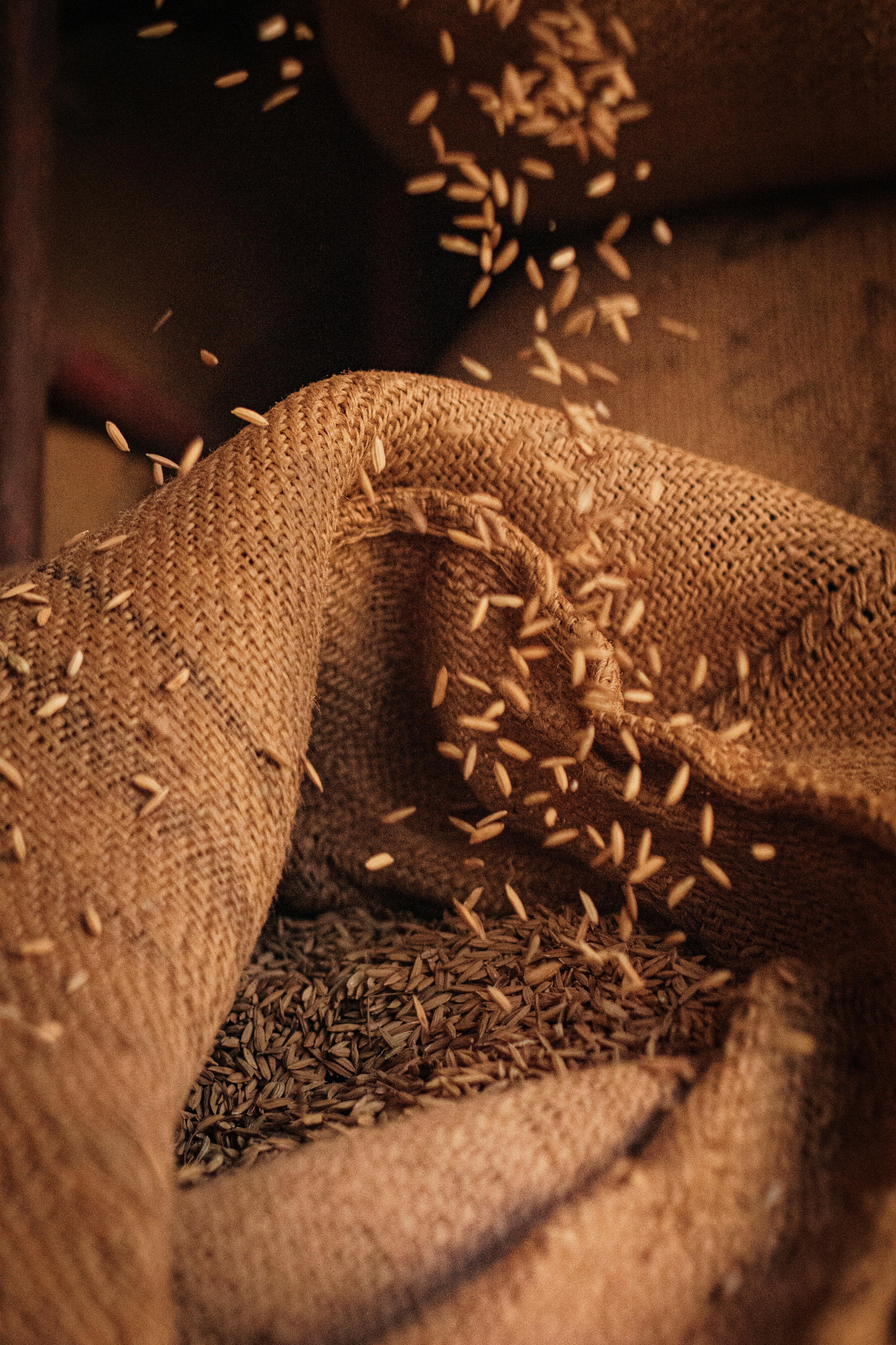 Maximize Efficiency and Profitability: A Step-by-Step Guide to Setting Up Your Rice Milling Unit 1 Navigating the Essentials: key Considerations for your Rice Milling Unit Setup