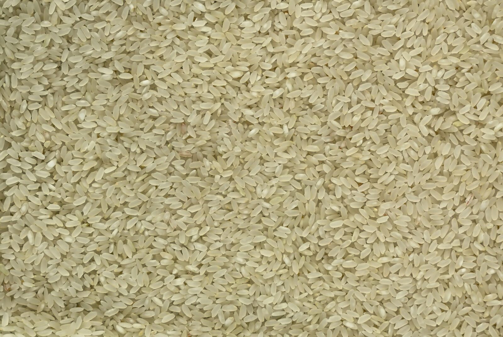 Transforming ‍Grains: The Unexpected Environmental Impact of ‌Parboiled Rice Processing