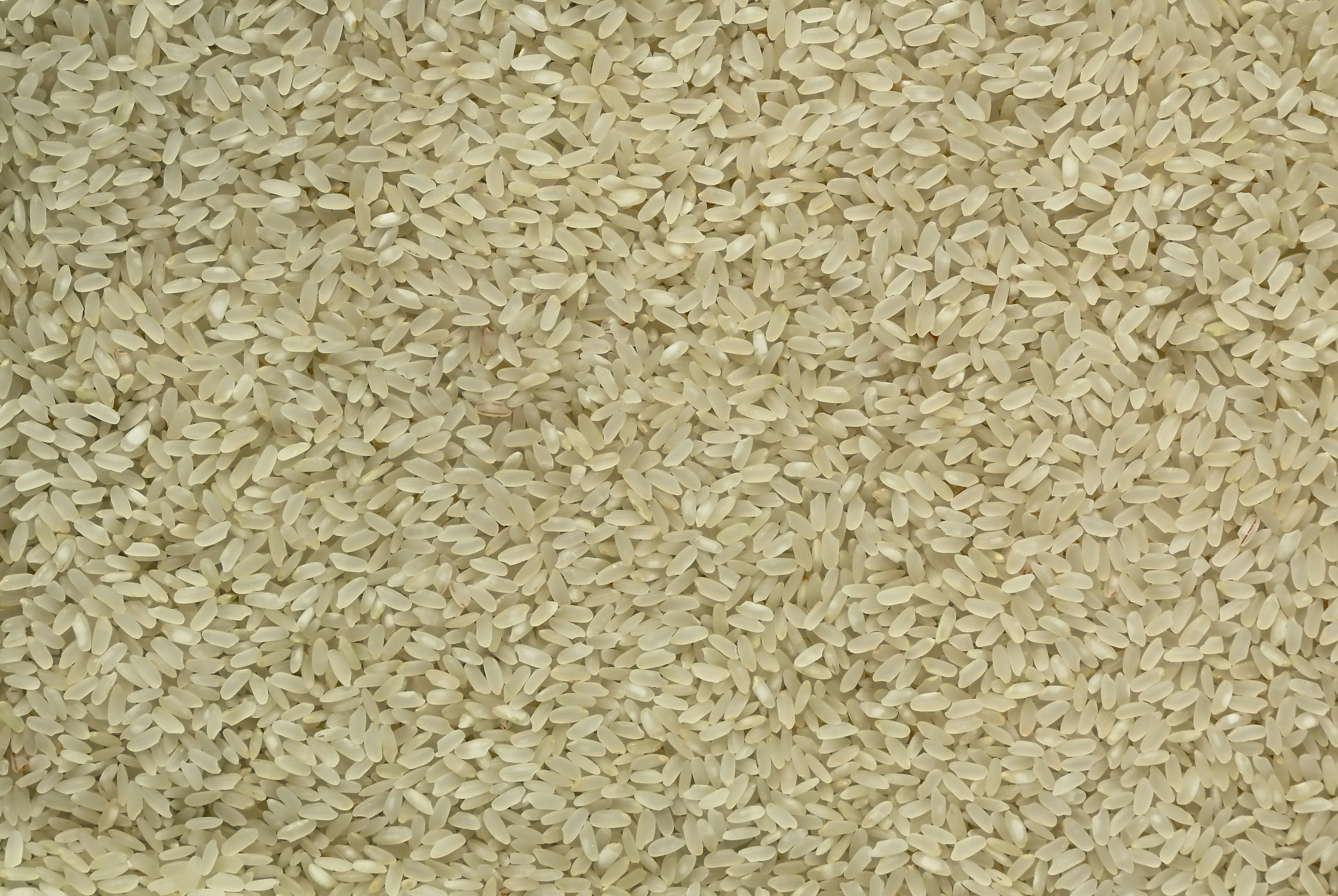 Beyond the Boil: How Parboiled Rice Processing Plants are Revolutionizing Food Security and Sustainability 1 Transforming Grains: The Unexpected Environmental Impact of Parboiled Rice Processing