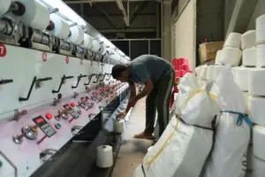 Essential Considerations for a Profitable 2 Ton Rice Mill Plant Investment