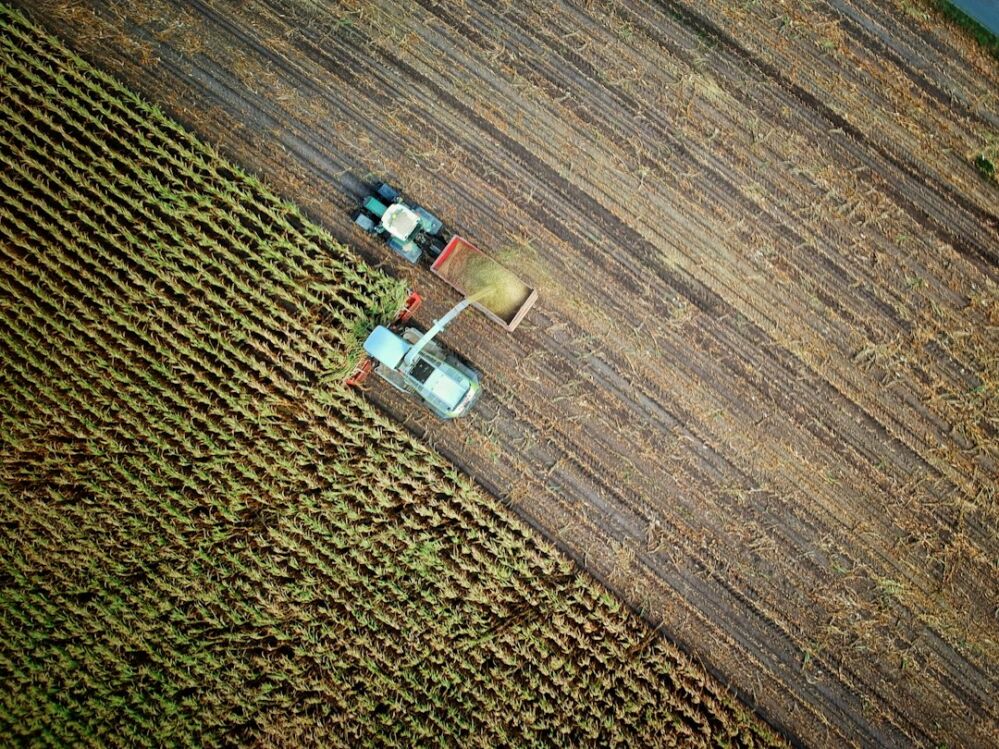 Harvesting Hope: The Unsung Heroes of Rice Machinery and Their Impact on Rural Communities 1 A Day in the Life: How Rice Machinery Shapes the Rhythm of Rural Communities