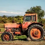 What to Look for When Buying a Combine Mini Rice Mill: A Practical Checklist