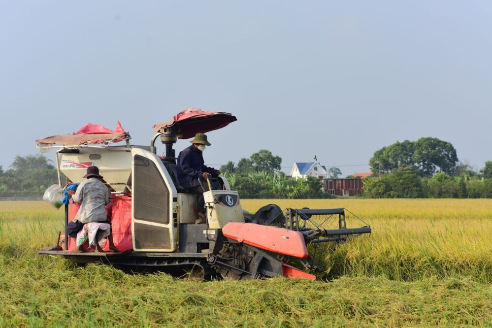 Maximizing Productivity with Mini Rice Milling Machines: A Deep Dive into Features and Efficiency for Small Farmers 2 Overcoming Common Challenges: Troubleshooting Mini Rice Milling Machines for Optimal Use
