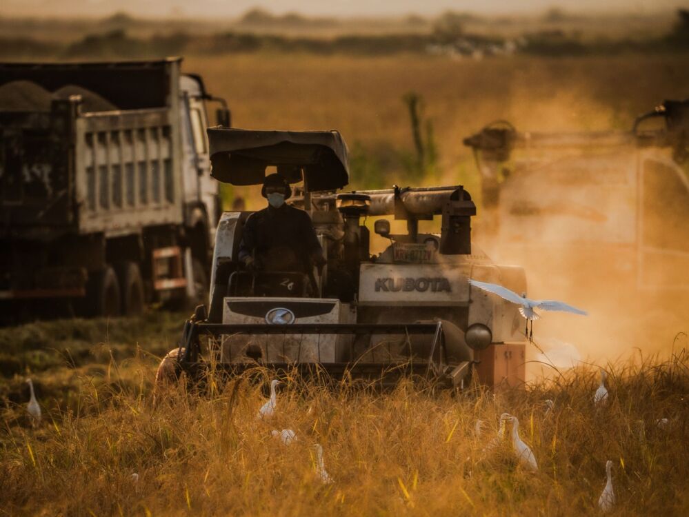 Maximizing Productivity with Mini Rice Milling Machines: A Deep Dive into Features and Efficiency for Small Farmers 1 Understanding Mini Rice Milling Machines: Key Features and Their Impact on Small Farming