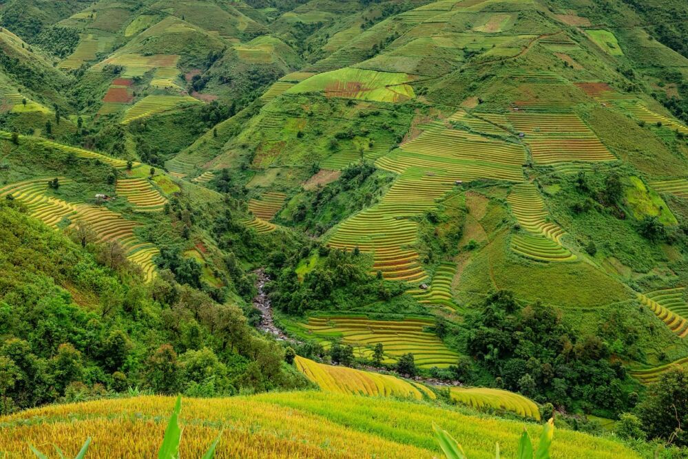 The Strategic Importance of Small Rice Mills: Enhancing Local Food Production and Economic Viability 2 Integrating Community Engagement Strategies to Strengthen Local Rice Milling Operations