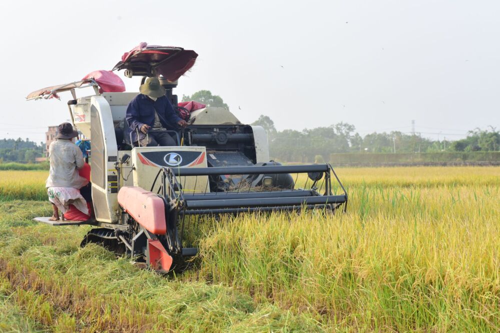 The Hidden Costs of Technological Advancement: Evaluating the Environmental Impact of Modern Rice Processing Solutions