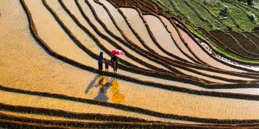 Polishing Dreams: The Personal Stories of Rice Polishers and Their Impact on Lives 2 Threads of Resilience: Personal Narratives from Rice Polishers Shaping Communities