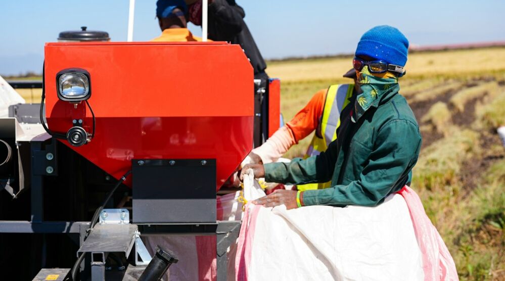 Transform Your Rice Mill Plant: Proven Techniques to Enhance Quality and Reduce Waste