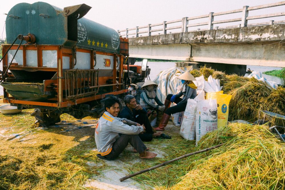 Elevate Your Rice Milling Game: Proven Strategies for Choosing a Portable Machine That Delivers Quality and Efficiency