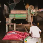 Exploring the Evolution of Rice Mills: Historical Significance, Modern Technology, and Future Trends in Agricultural Processing